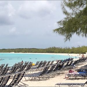 Meet your Posher, Robin